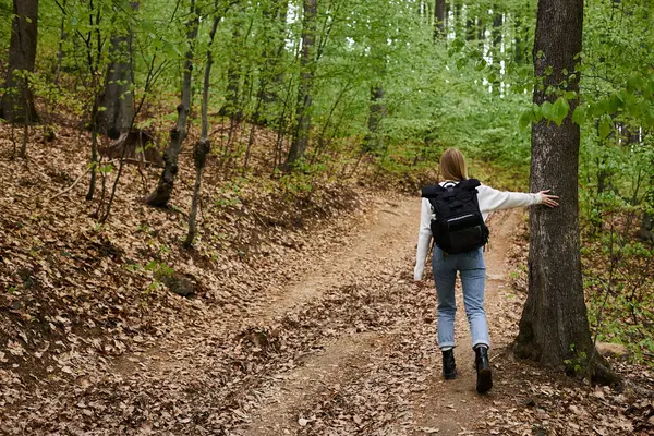 Volver vista completa de la mujer rubia senderismo caminando en el bosque verde tocando árboles - foto de stock