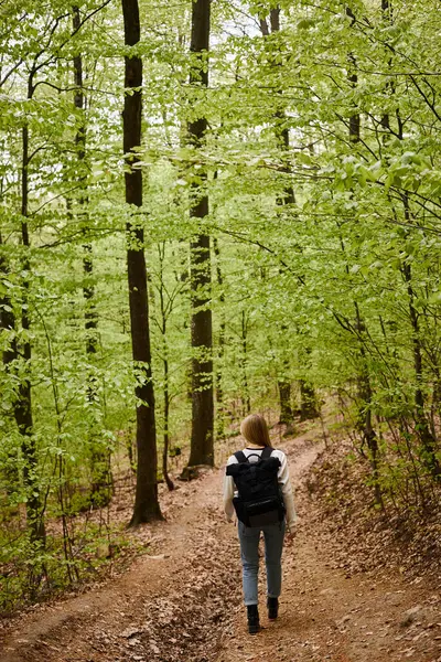 Voltar visão de comprimento total da mulher loira caminhadas andando na floresta verde usando suéter e mochila — Fotografia de Stock