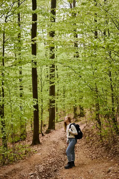 Спокойная блондинка, гуляющая по зеленому лесу в свитере и рюкзаке — стоковое фото