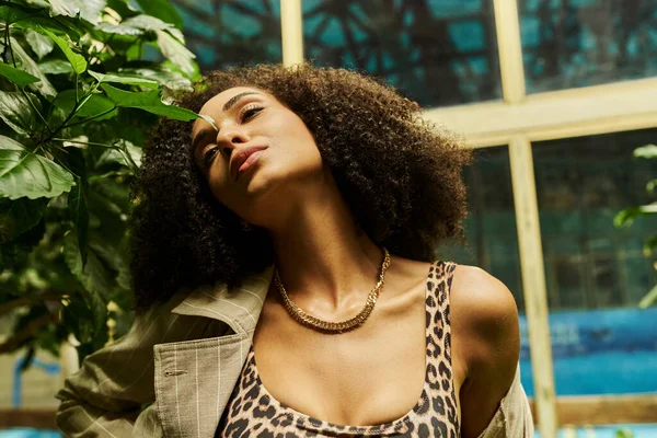 Portrait of curly african american woman posing in trendy look with animal print in exotic setting — Stock Photo