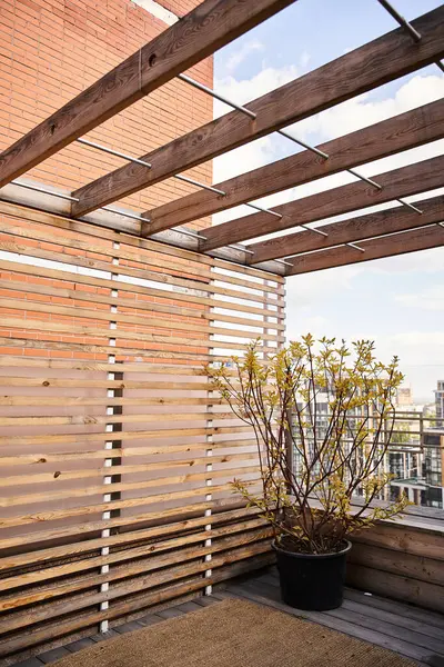 Un tranquilo balcón adornado con listones de madera y una floreciente planta en maceta - foto de stock