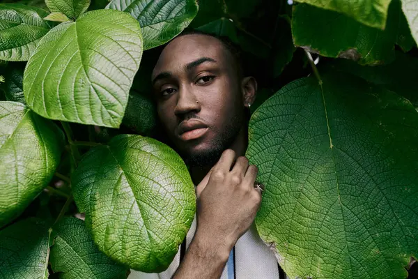 Un hombre sofisticado se esconde detrás de un exuberante árbol verde en un jardín vívido. - foto de stock