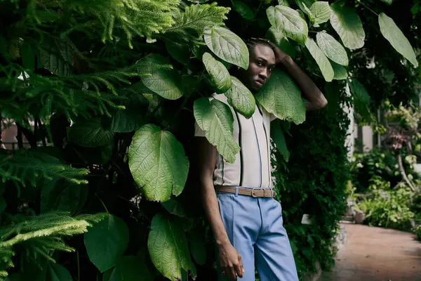 A sophisticated African-American man standing gracefully in front of a vibrant green bush. — Stock Photo