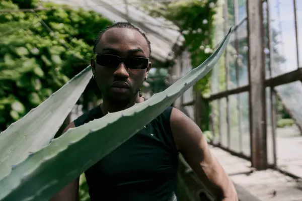 Bello uomo afroamericano in occhiali da sole che tiene una grande foglia in un vibrante giardino verde. — Foto stock
