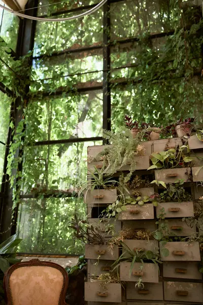 Eine Fülle von üppigen grünen Pflanzen neben ordentlich gestapelten Kisten in einem lebendigen Raum. — Stockfoto
