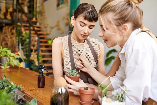 Two women, a loving lesbian couple, explore a potted plant with artistic curiosity in an art studio. — Stock Photo