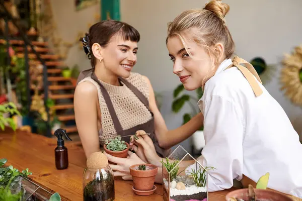 Two women, a loving lesbian couple, admire a potted plant in an art studio. — Stock Photo