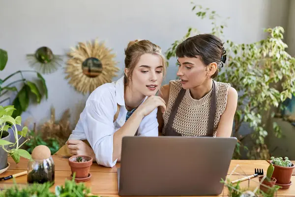 A loving lesbian couple collaborating on a project with a laptop at an art studio. — Stock Photo