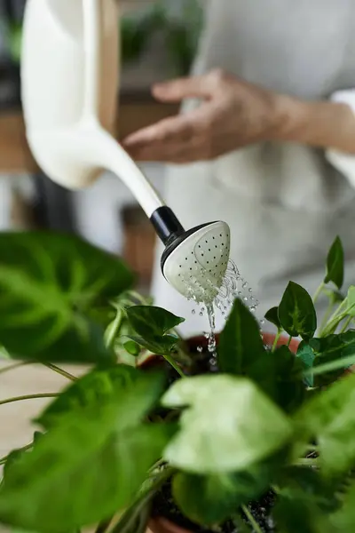 Tenderly watering vibrant plants in her artistic studio sanctuary. — Stock Photo