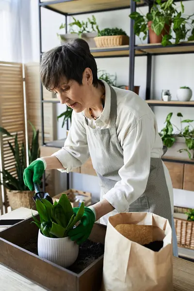 Une jardinière prend soin de ses plantes bien-aimées dans un studio ensoleillé. — Photo de stock