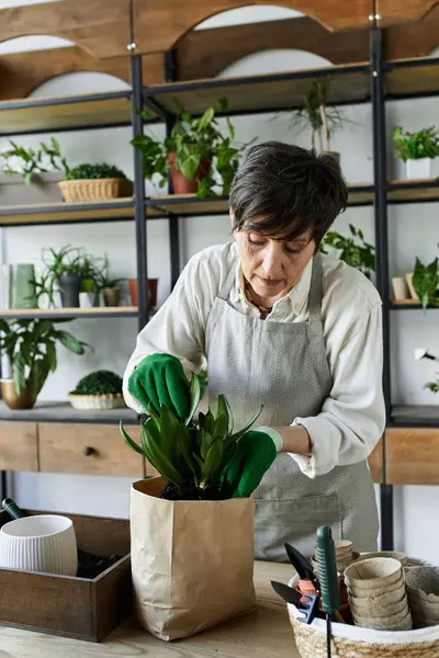 A gardener tends to her cherished plants in a cozy studio. — Stock Photo