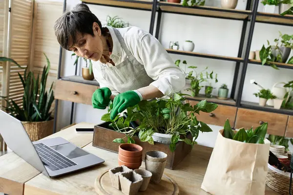 Gärtnerin pflegt ihre Pflanzen neben einem Laptop in einem sonnenbeschienenen Studio. — Stockfoto
