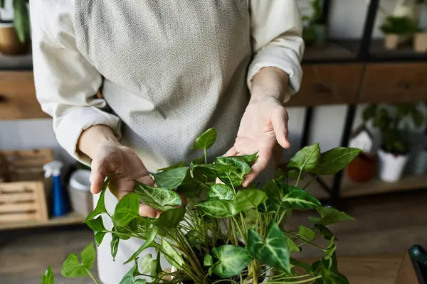Woman lovingly cares for her thriving plants in a bright, inviting space. — Stock Photo