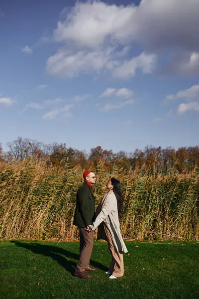 A couple in cozy autumn clothes shares a sweet moment in tall grass under a blue sky. — Stock Photo