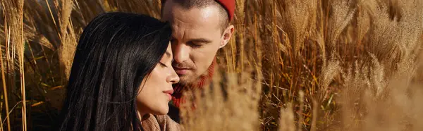 A loving couple shares a tender moment surrounded by tall, swaying grasses in autumn. — Stock Photo