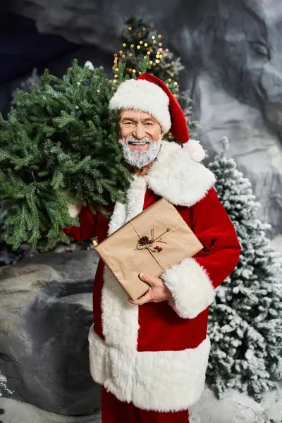 Figura allegra tiene un ramo d'albero verde e un regalo avvolto in un ambiente invernale. — Foto stock