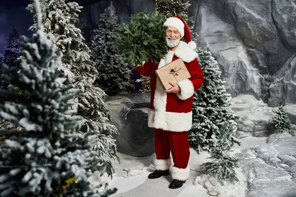 Uma figura alegre do Papai Noel está entre árvores perenes, segurando um presente embrulhado. — Fotografia de Stock