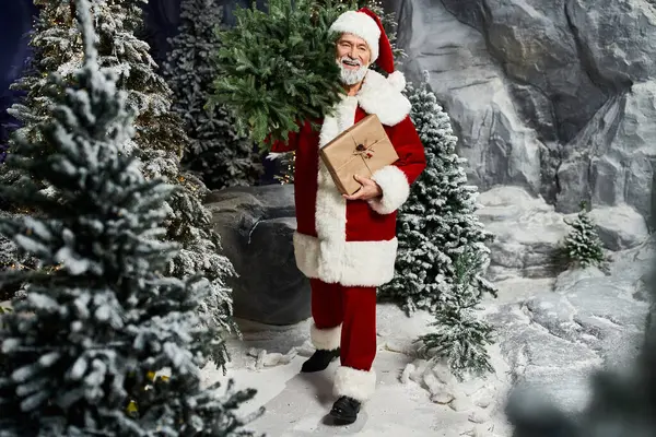 Santa Claus lleva regalos y vegetación perenne a través de un paisaje nevado lleno de alegría. - foto de stock