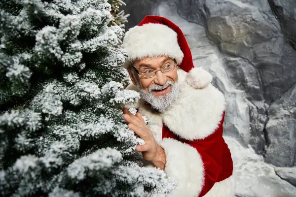 A cheerful Santa Claus hides behind a frosty evergreen, radiating joy in a festive setting. — Stock Photo