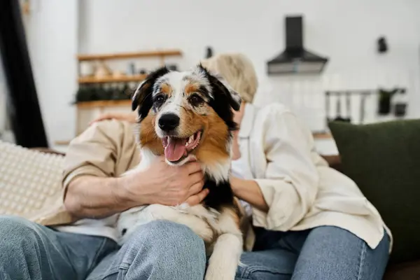 A couple embraces each other on the couch, delighted by the presence of their playful dog. — Stock Photo