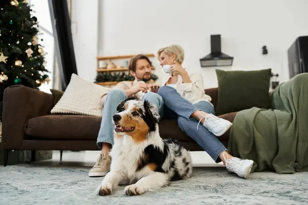 In a relaxed atmosphere, a couple enjoys each others company on the couch with their dog nearby. — Stock Photo