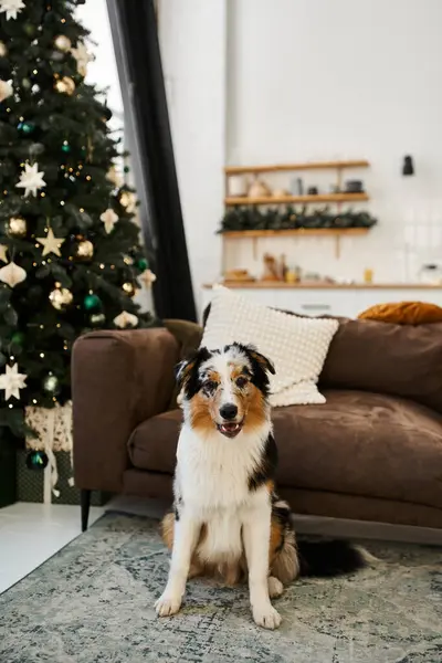 Cute dog sitting on floor in modern apartment, Christmas. — Stock Photo