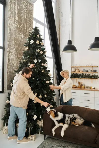 The couple joyfully adorns their Christmas tree while their dog observes the festive activity. — Stock Photo