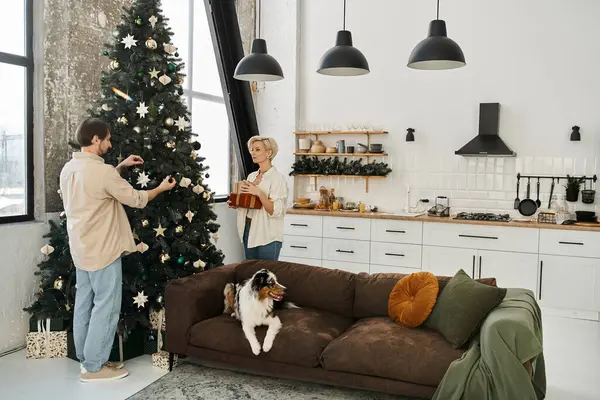 A couple joyfully decorates a festive tree while their dog relaxes on the sofa. — Stock Photo