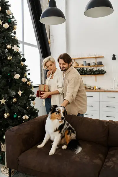 A loving couple enjoys a cozy holiday atmosphere in their home with a dog nearby. — Stock Photo