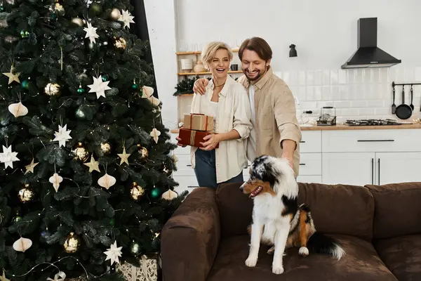 A happy couple enjoys quality time in their cozy home with a Christmas tree and a playful dog. — Stock Photo