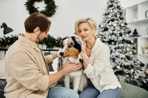 Um casal feliz brinca amorosamente com seu cão em uma casa festivamente decorada. — Fotografia de Stock