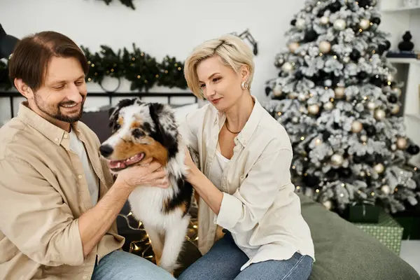 The couple smiles affectionately as they pet their dog in a beautiful, decorated living room. — Stock Photo