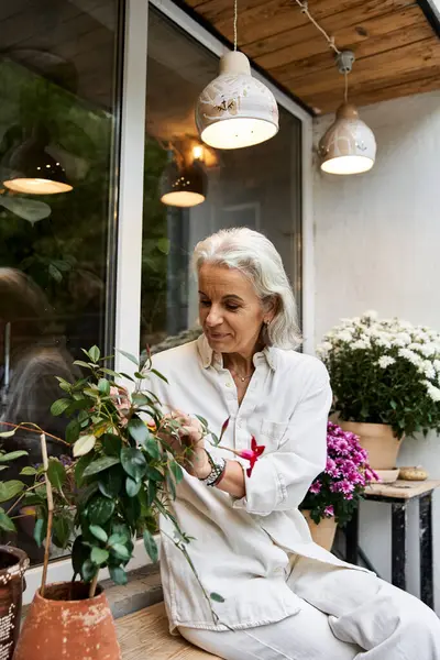 A beautiful mature woman carefully tends to her indoor plants on a sunlit balcony. — Stock Photo