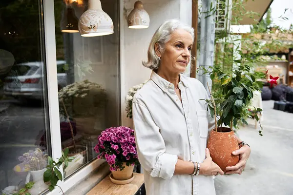 A serene mature woman stands gracefully with a potted plant in a cozy cafe. — Stock Photo