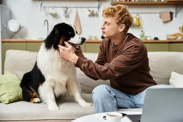 A redhead man lovingly interacts with his cute Australian Shepherd in a stylish apartment. — Stock Photo