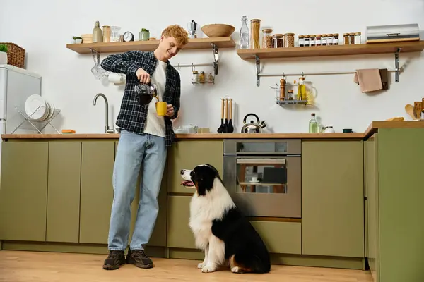En una cocina moderna, un joven pelirrojo vierte una bebida mientras su lindo pastor australiano observa. - foto de stock