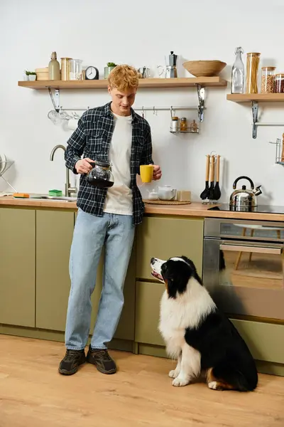 A cheerful young redhead man sips coffee while his adorable Australian Shepherd looks up at him. — Stock Photo