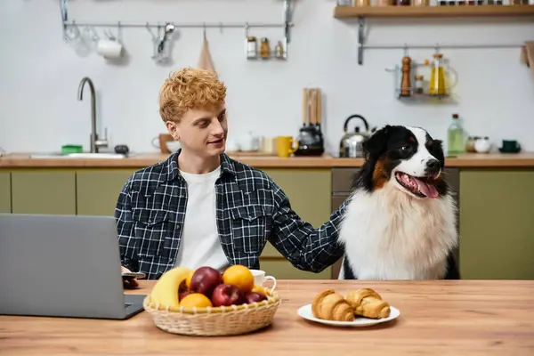 A young man relaxes in a stylish kitchen, enjoying time with his Australian Shepherd. — Stock Photo