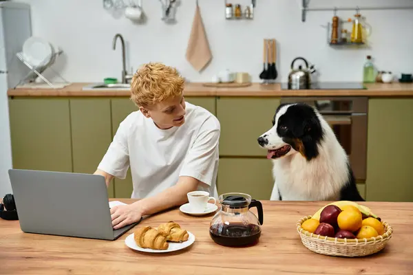 Young man shares a delightful morning with his furry Australian Shepherd friend at home. — Stock Photo