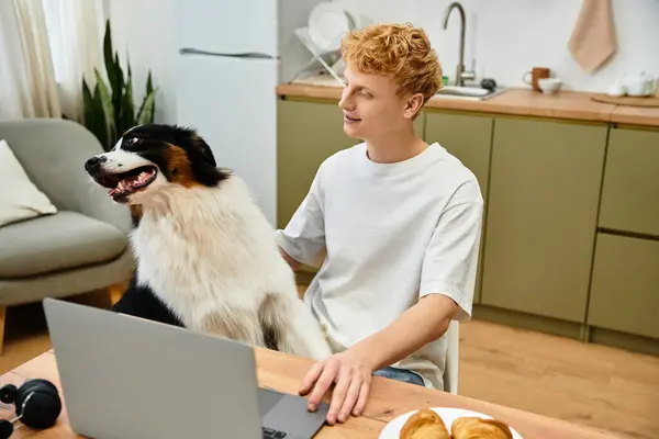 A young man with red hair enjoys time with his Australian Shepherd in a stylish apartment. — Stock Photo