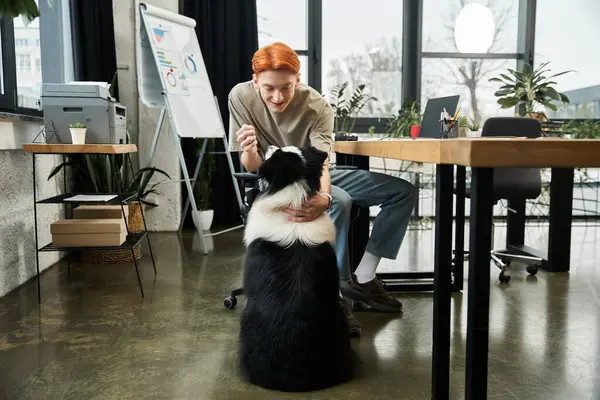 In a contemporary office, a young man with red hair greets a dog, showcasing a warm bond. — Stock Photo