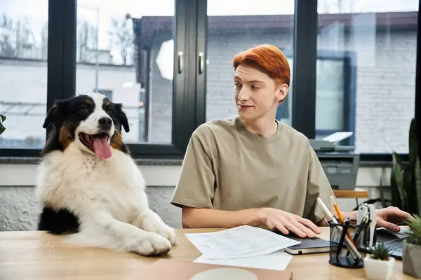 A dedicated young red haired man sits at his desk in a modern office, accompanied by a playful dog. — Stock Photo