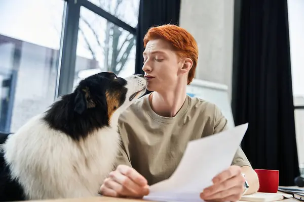 A young red haired man enjoys a light moment with a dog in a modern office. — Stock Photo