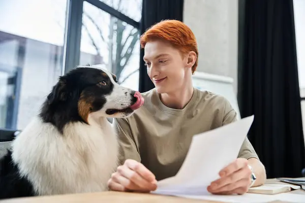 In a bright office, a handsome young man with red hair plays with a dog as he reviews documents. — Stock Photo