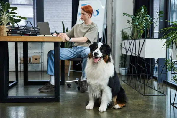 Dedicated young man with red hair works diligently at a desk while his dog observes intently. — Stock Photo