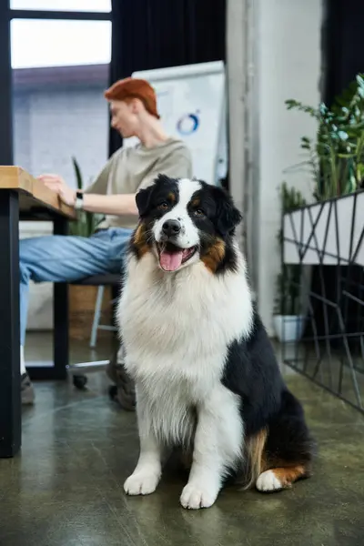 Focused young man with red hair engages in work as a loyal dog sits nearby in the office. — Stock Photo