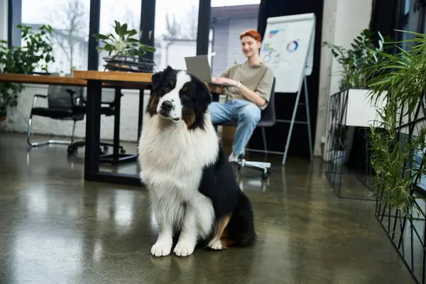 In a lively office, a young man works while a dog sits patiently, adding warmth. — Stock Photo