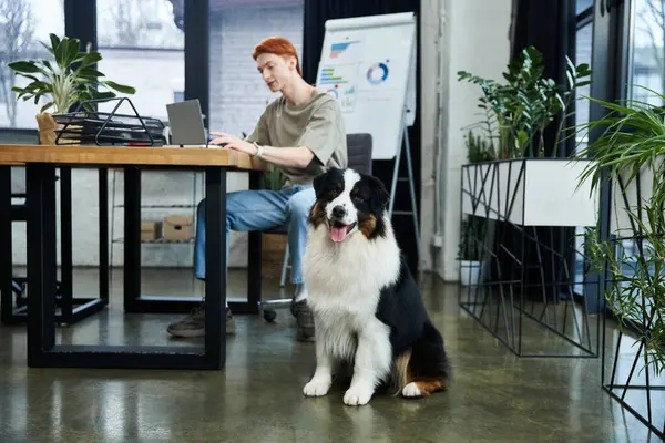 A dedicated young man with red hair focuses on his tasks at work while a cheerful dog sits nearby. — Stock Photo