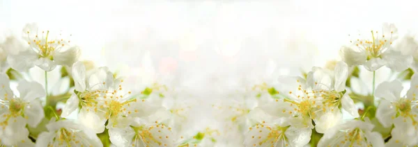 カーペットのさまざまな色の小さな花を持つ — ストック写真
