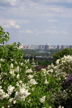 Kyiv 'deki şehir parkının manzarası
